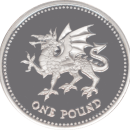 1 livre 1995 Elizabeth II - Le dragon d'argent - Revers