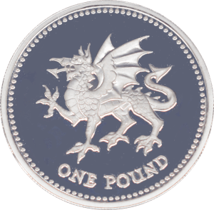 1 livre Elizabeth II 1995 - Revers