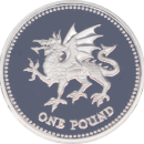 1 livre Elizabeth II 1995 - Reverse